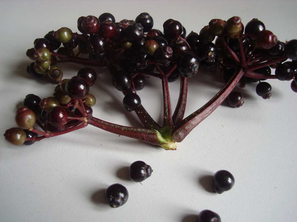 Bez kolumnowy Black Tower ® P9 E